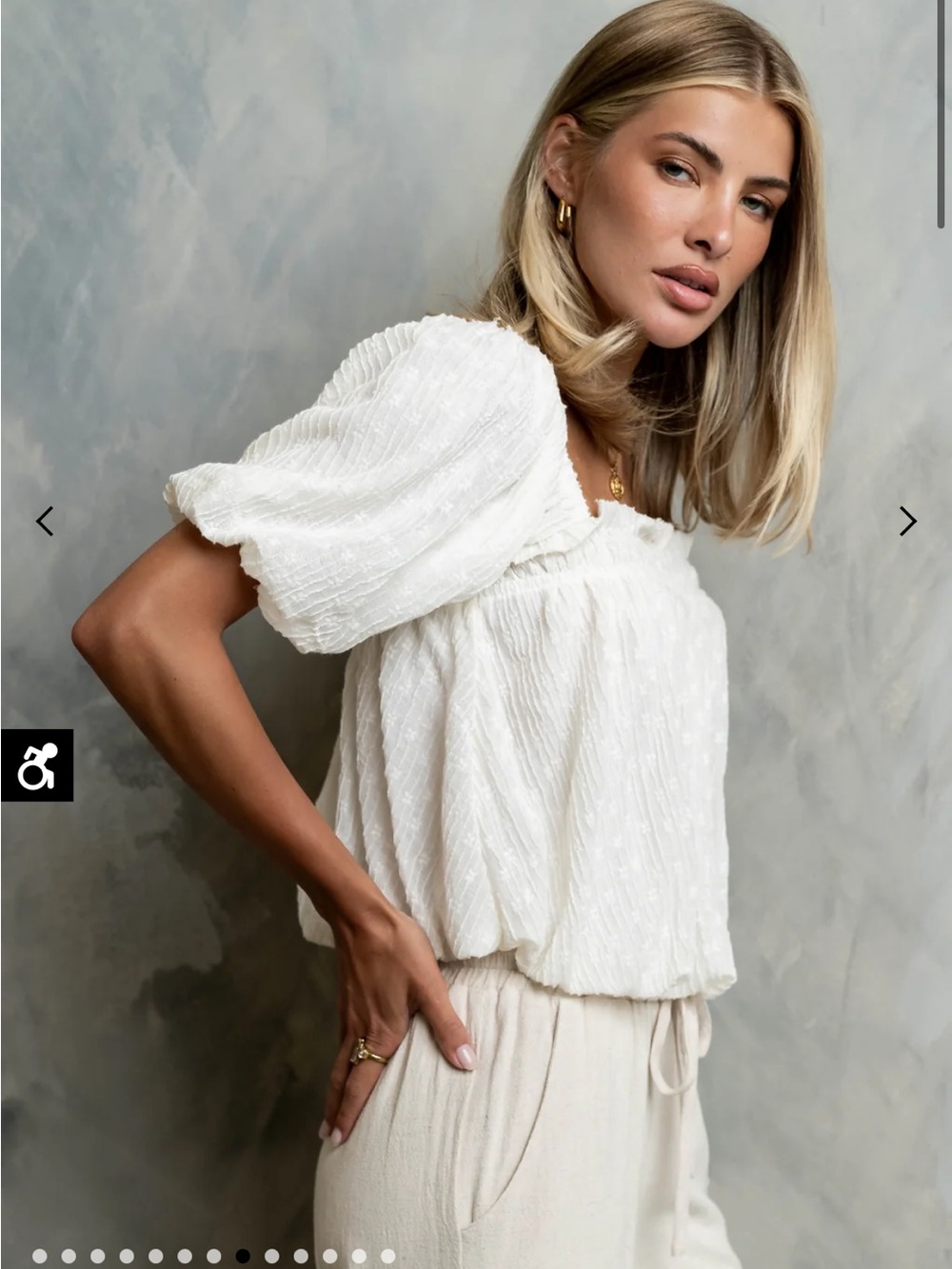 NWT Bohme Top